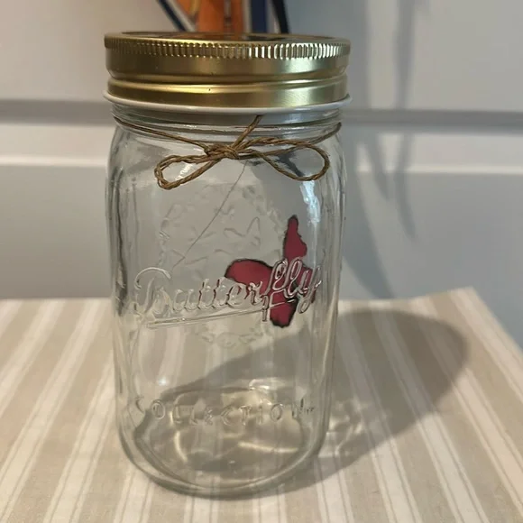 Butterfly Collection, Pink Butterfly & Multi-Colored Butterfly in a Jar! - Picture 4 of 13